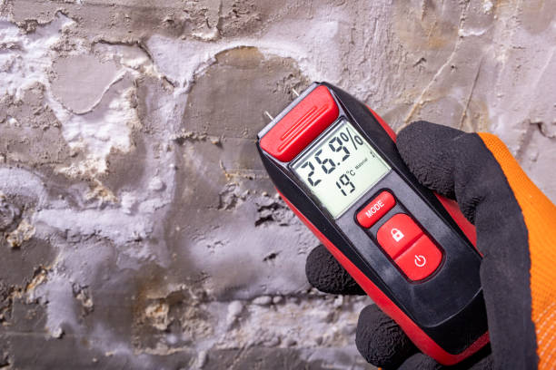 Best Mold Remediation for Specific Building Types in Waynesboro, VA