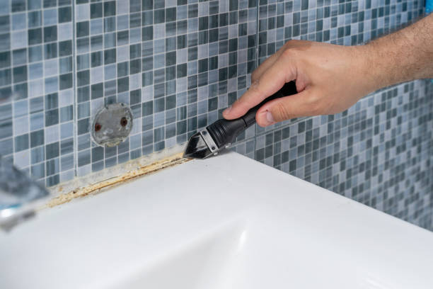 Best Health and Safety Mold Remediation in Waynesboro, VA